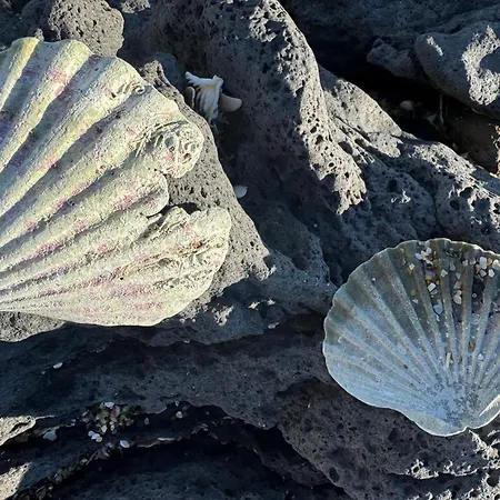 דירה Cosy Entre Port Et Cap *