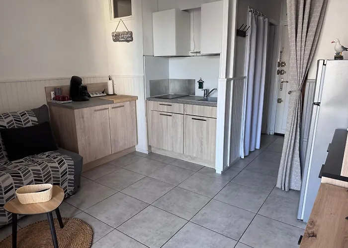 Cosy Entre Port Et Cap Apartment *